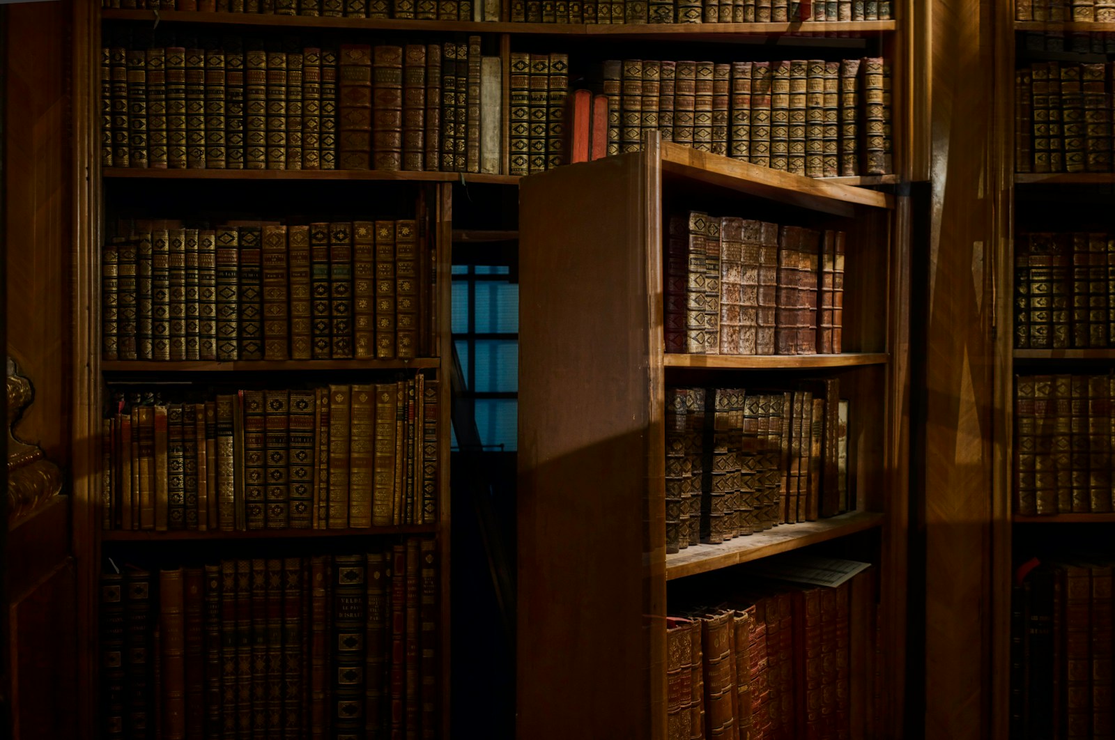 opened secret door inside library